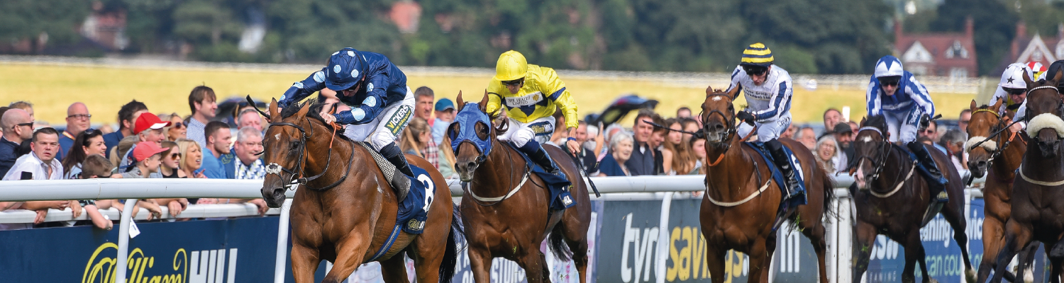 William Hill Sponsored Raceday at Beverley Racecourse