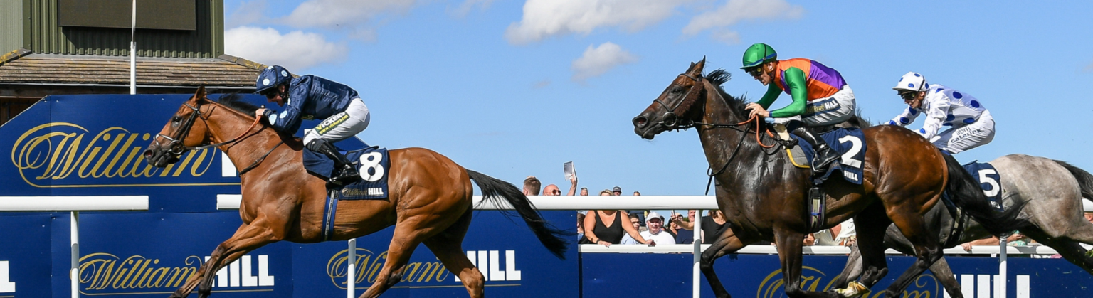 Race Days at Beverley Racecourse, Racing Season 2023